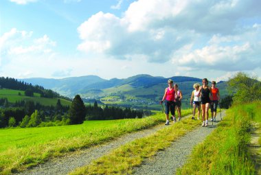 Nordic Walking im Schwarzwald